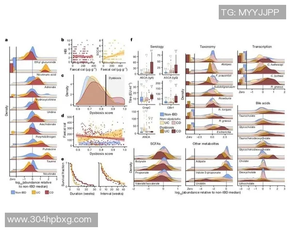今年运动数据重磅专题探索IG平台节奏革新带来的新机遇与挑战